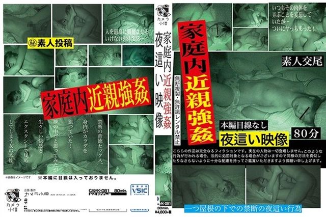 家庭内近親強姦 夜這い映像 - 1