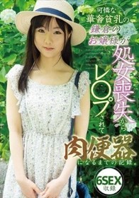 可憐な華奢貧乳の鎌倉のお嬢様が処女喪失からレ〇プされて肉便器になるまでの記録。6SEX収録 - 1