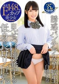 誘惑パンチラ女子校生 見せつけ挑発する低身長ロリ巨乳 白桃心奈