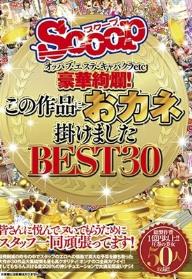 オッパブ・エステ・キャバクラetc 豪華絢爛！この作品におカネ掛けました BEST30