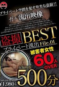 盗撮 プライベート流出500分 BEST File.01