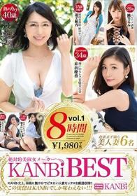 絶対的美淑女メーカー KANBi BEST 8時間 vol.1 絶対的美淑女6名と過ごす甘美で淫らな480分！！