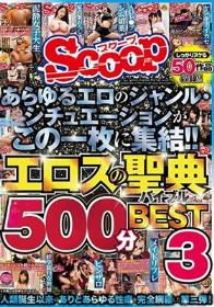 あらゆるエロのジャンル・シチュエーションがこの一枚に集結！！エロスの聖典500分BEST3