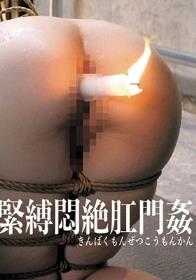 緊縛悶絶肛門姦