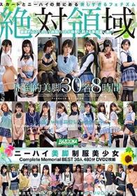 絶対領域ニーハイ美脚制服美少女CompleteMemorialBEST30人480分DVD2枚組