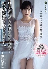 見ず知らずの金持ちゲス親父と政略結婚させられました。 伊賀まこ