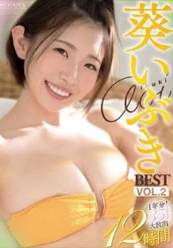 葵いぶきBEST VOL.2 1年分！35本番大放出12時間