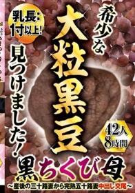 乳長：1寸以上！希少な大粒黒豆見つけました！黒ちくび母 ～産後の三十路妻から完熟五十路妻 中出し交尾～ 42人8時間