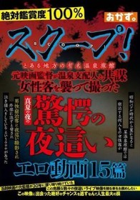 スクープ！とある地方の有名温泉旅館 元映画監督が温泉支配人と共謀 女性客を襲って撮った真夏の夜の驚愕の夜●いエロ動画15篇
