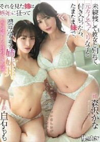 姉妹丼になっちゃいましたが、僕何かやっちゃいましたか？ 未練残して彼女と別れて、元カノそっくりな子と付き合ったら、たまたま妹で、それを見た姉は嫉妬に狂って濃厚孕ませ姉妹丼。先に妊娠したら結婚できる編。