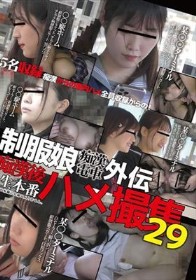 制服娘痴漢電車外伝　痴漢後生本番ハメ撮集29