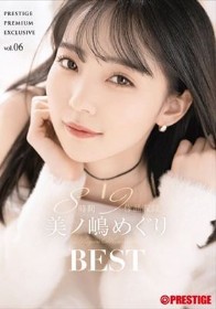 美ノ嶋めぐり 8時間 BEST PRESTIGE PREMIUM EXCLUSIVE vol.06