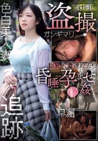 つけ回し盗撮 巨乳人妻連れ去り昏●孕ませ●姦