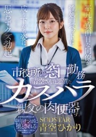 市役所の窓口勤務の青空さんは悪質なカスハラ親父の肉便器です。平凡で真面目な同僚が性処理ペットに成り下がる姿に思わずクズ勃起 青空ひかり