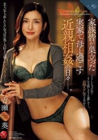 家族皆が巣立った実家で、 母と過ごす近親相姦の日々―。 吉瀬葵