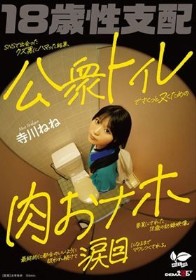 SNSで出会ったクズ男にハマった結果、公衆トイレでさくっとヌくための肉おナホ要員にされた18歳の記録映像。最終的に都合のいいように扱われ続けて涙目になるまでマワしつくされる。 寺川ねね