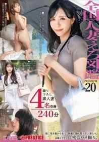 全国人妻えろ図鑑 PREMIUM 20