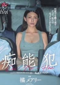 痴能犯 ～ただただSEXがしたいだけの極めて強い異常な性欲者～ 橘メアリー