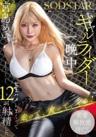 離婚したてのぼくがツーリングで出会った大型バイクにまたがるギャルライダーと意気投合し一晩中なまハメしまくって12回射精した 宮島めい