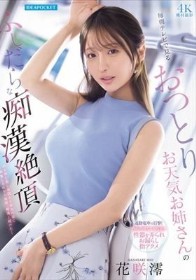 毎朝テレビで見るおっとりお天気お姉さんのふしだらな痴●絶頂 花咲澪