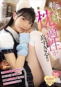 俺の妹の枕適性が高すぎる！！ 小悪魔誘惑＆連続中出しでオチンチン虜にする妹は、芸能界で枕無双間違いなしの超ドスケベアイドルになる 望実かなえ