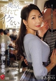 「ゆうくんパパ、奥さんに隠れてイケないことしよ？」PTAの風紀を掻き乱すあやのさんと月に一度の淫猥中出し会合。 加藤あやの