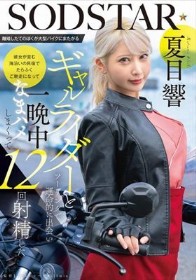 離婚したてのぼくが大型バイクにまたがるギャルライダーとツーリングで運命的に出会い 彼女が営む海沿いの民宿でたらふくご馳走になって一晩中なまハメしまくって12回射精した 夏目響