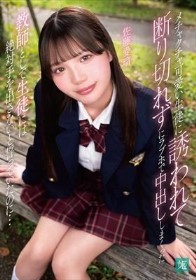 メチャクチャ可愛い生徒に誘われて断り切れずにラブホで中出ししまくった 教師として生徒には絶対手を出さないと誓っていたのに… 佐藤愛瑠