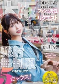 大阪→東京 東海道を縦断しファンの男性を訪ねてリクエストに全部応える発射無制限おもてなしツアー 5セックス! 新川空
