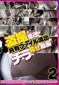 盗撮集団共有ファイル流出チラ見せ動画2
