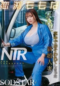 配送中NTR 既婚ベテランドライバーの配送に付いて回るうち車中でおそわれてしまった新婚人妻 恋渕ももな