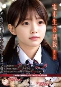 電車生姦制裁 #012