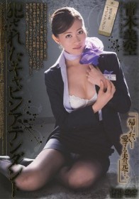 犯されたキャビンアテンダント