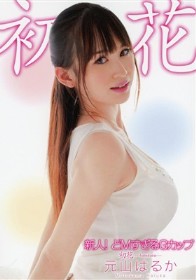 新人！どMすぎるGカップ 初花-hatsuhana- 元山はるか